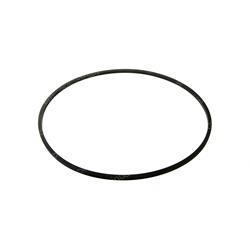Picture of Seal