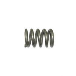 Picture of Spring