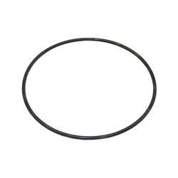 Picture of O-Ring