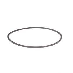 Picture of Seal - Ucup