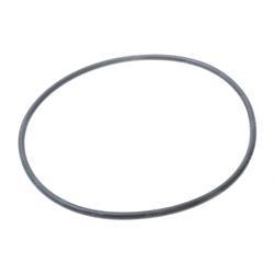 Picture of O-Ring