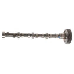 Picture of Camshaft Assembly