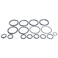 Picture of Seal Kit - Hydraulic Cylinder