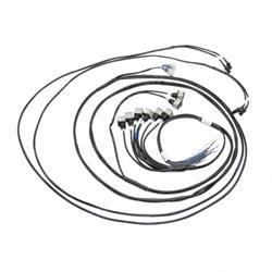 Picture of Wiring Harness