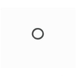 Picture of O-Ring