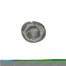 Picture of Screen - Air Valve