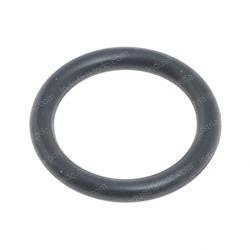 Picture of O-Ring