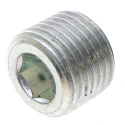 Picture of Plug - Orifice