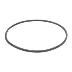 Picture of O-Ring