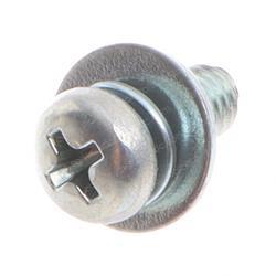 Picture of Screw, W/Washer