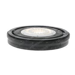 Picture of Disc Brush