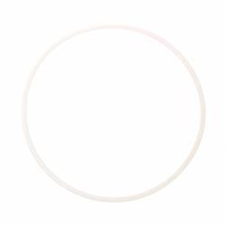 Picture of Ring - Back Up