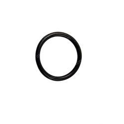 Picture of O-Ring