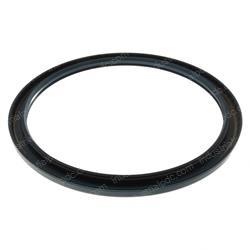 Picture of Seal Ring J013838