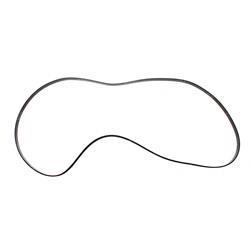 Picture of Belt - Serpentine