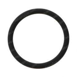 Picture of O-Ring