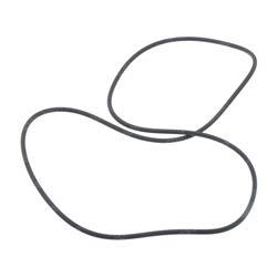 Picture of O-Ring