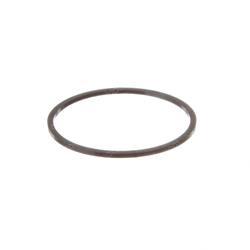 Picture of Back Up Ring