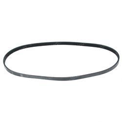 Picture of Belt - Serpentine