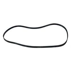 Picture of Belt - Serpentine