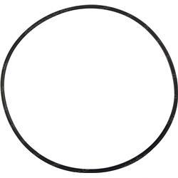 Picture of Ring - Back Up