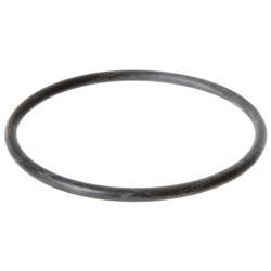 Picture of O-Ring