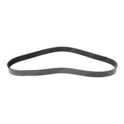 Picture of Belt - Serpentine