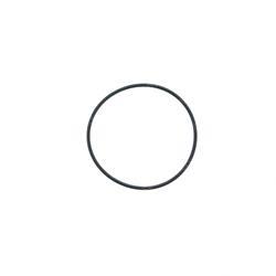 Picture of O-Ring