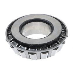 Picture of Cone-Bearing