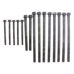 Picture of Cyl Head Bolt Kit