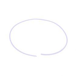 Picture of Ring -Backup