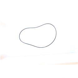 Picture of O-Ring