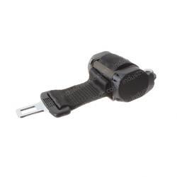 Picture of Seatbelt