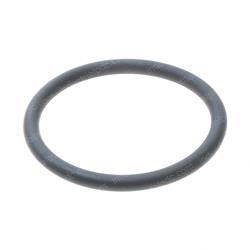 Picture of O Ring