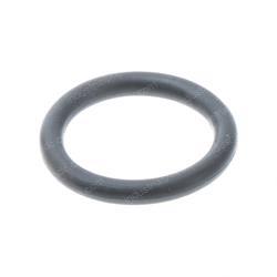 Picture of O-Ring