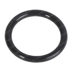 Picture of O-Ring