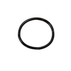 Picture of O-Ring