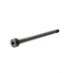 Picture of Bolt