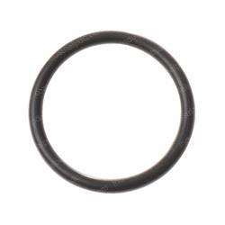 Picture of O-Ring