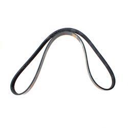 Picture of Belt - Serpentine