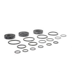 Picture of Seal Kit - Control Valve