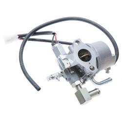 Picture of Carbuerator-Dual Fuel (sp