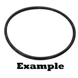 Picture of O-Ring