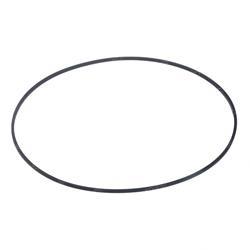 Picture of O-Ring