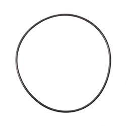 Picture of O-Ring