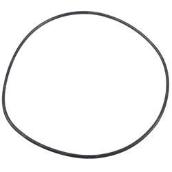 Picture of O-Ring