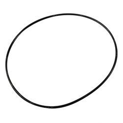 Picture of O-Ring