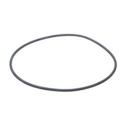 Picture of O-Ring