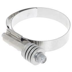 Picture of Constant-Torque Worm Clip