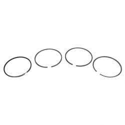Picture of Ring Set for 1 Cylinder